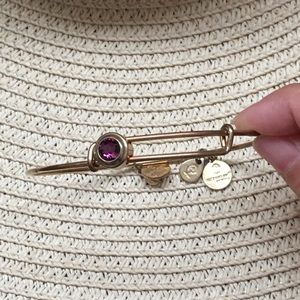 Alex and Ani Purple Amethyst Sliding Charm